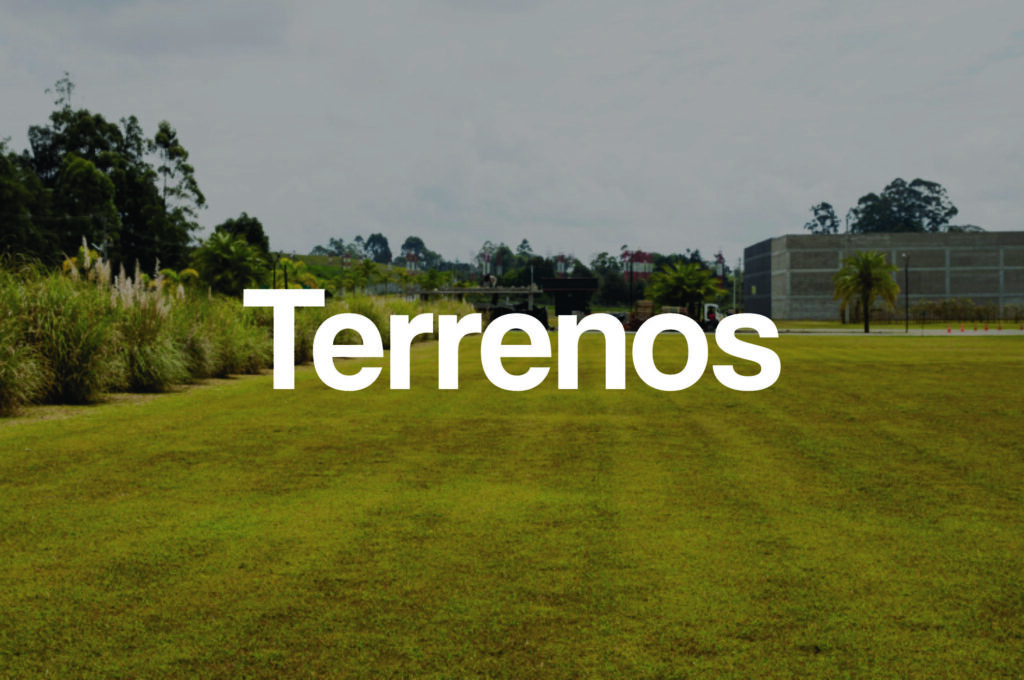 3 terrenos